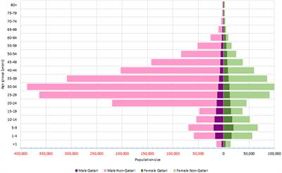 Core health indicators in countries with high proportion of expatriates: Case study of Qatar